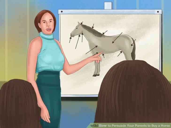 Image intitulée Convaincre Tes Parents d